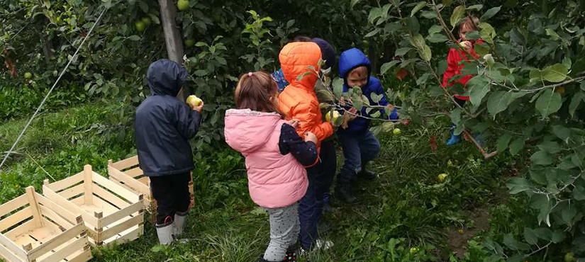 Schoolchildren from French School in Belgrade Visit the Orchard in Čelarevo